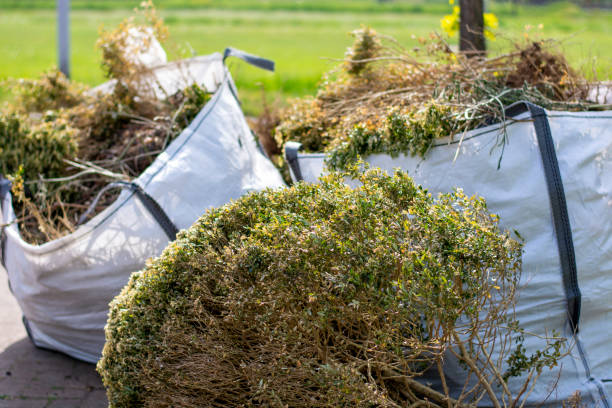 Best Estate Cleanout Services  in Indiana, PA